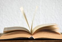 Νεοελληνική Γλώσσα & Λογοτεχνία Γ´ Λυκείου: Η βία στις διαπροσωπικές σχέσεις (Κριτήριο αξιολόγησης)