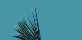 Ημερίδα Διεπιστημονικού Προβληματισμού: Ο Λόγος στην ψηφιακή εποχή και ο ρόλος της εκπαίδευσης