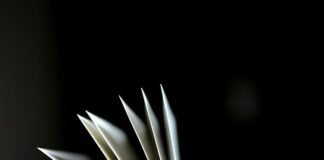 Αρχαία Ελληνική Γλώσσα Β´ Γυμνασίου: Λεξιλογικές ασκήσεις(Ενότητες 3, 4, 5 & 8)