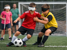 Νέα Ελληνικά Γ´ ΕΠΑΛ: ΑμεΑ (Κριτήριο αξιολόγησης)