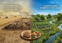 Νέα Ελληνικά Γ´ ΕΠΑΛ: Η διατροφή μας επηρεάζει τη βιωσιμότητα του πλανήτη(Κριτήριο αξιολόγησης)