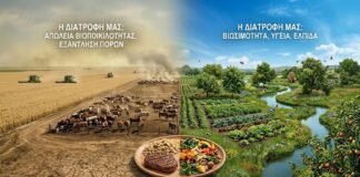 Νέα Ελληνικά Γ´ ΕΠΑΛ: Η διατροφή μας επηρεάζει τη βιωσιμότητα του πλανήτη(Κριτήριο αξιολόγησης)