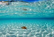 Θάλασσα λανθασμένη… δε γίνεται!