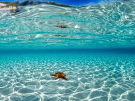 Θάλασσα λανθασμένη… δε γίνεται!